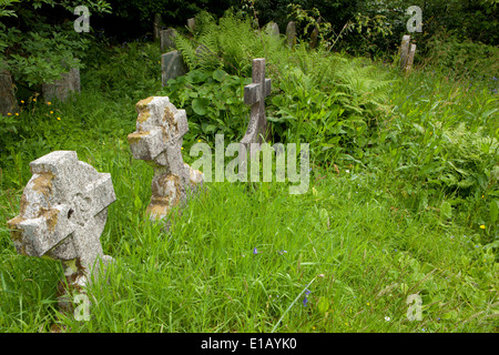 Kirche St Wenna am Morval, in der Nähe von Looe in Cornwall, Saint Wenna war ein kornischen Heiliger, Stockfoto