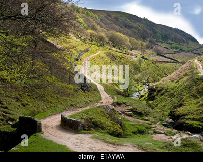 Reitweg in der Nähe von drei Shires Brücke in der Staffordshire Moorlands, Teil des Peak District National Park, Großbritannien Stockfoto