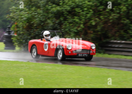 Ein Auto konkurriert in den Motorsport im The Palace Sprint im Crystal Palace Park. Stockfoto