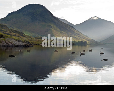 Frühmorgens am Wastwater mit Yewbarrow auf der linken und großen Giebel in Ferne, Lake District, Großbritannien Stockfoto