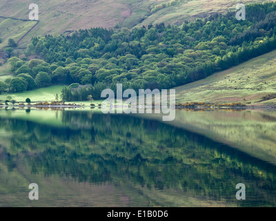 Reflexionen über Ein ruhiger Morgen auf Wastwater im englischen Lake District Stockfoto