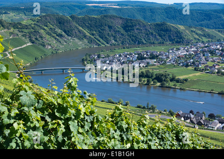 Blick über Piesport Dorf an der Mosel, Rheinland-Pfalz, Deutschland, Europa Stockfoto