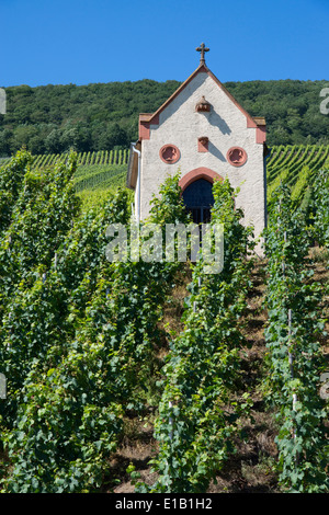 kleine Kapelle in einem Weinberg in der Nähe von Piesport Dorf an der Mosel, Rheinland-Pfalz, Deutschland, Europa Stockfoto