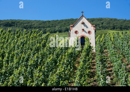 kleine Kapelle in einem Weinberg in der Nähe von Piesport Dorf an der Mosel, Rheinland-Pfalz, Deutschland, Europa Stockfoto