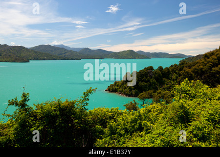 Blick entlang der Queen Charlotte Sound Stockfoto