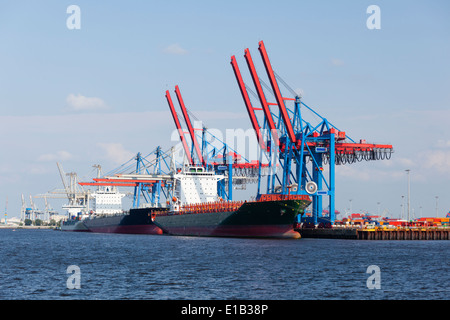 Containerhafen mit hohen Kränen und angedockten Schiffe im Hamburger Hafen, Deutschland Stockfoto