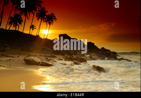 Schöne bunte Sonnenuntergang über Meer und Felsen gesehen unter den Palmen auf Sri Lanka Stockfoto