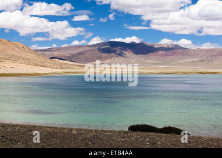 Landschaft in der Region von Salt Lake Tso Kar, Rupshu, Changtang, Ladakh, Jammu und Kaschmir, Indien Stockfoto
