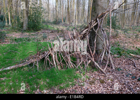 Provisorische Biwak Unterschlupf im Westen Holz in der Nähe von Marlborough Wiltshire Stockfoto