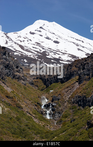 Mount Ruapehu und Wasserfall Stockfoto