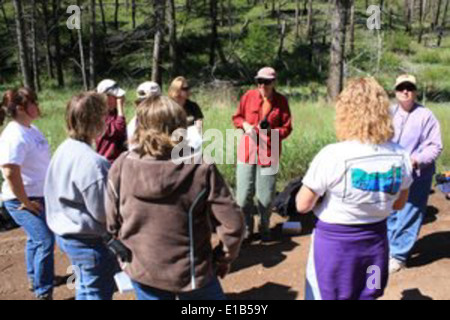 Wald für jedes Klassenzimmer - Helena National Forest Stockfoto