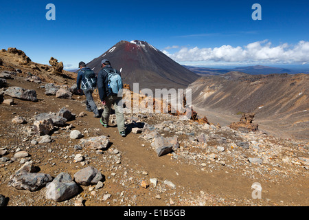 Tongariro Alpine Crossing mit Mount Ngauruhoe Stockfoto