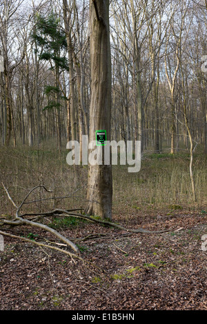 Auto-Diebstahl-Warnschild im Westen Holz in der Nähe von Marlborough Wiltshire Stockfoto