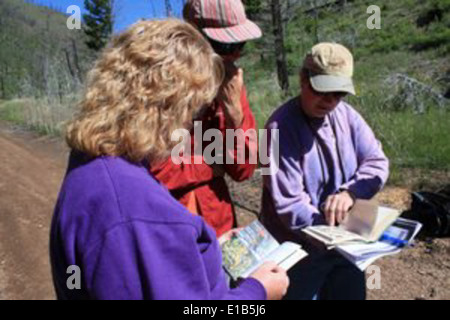 Wald für jedes Klassenzimmer - Helena National Forest Stockfoto