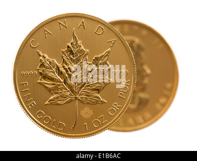 Paar gold Maple leaf eine Feinunze Gold Münzen aus kanadischen Treasury in Stempelglanz Zustand Stockfoto