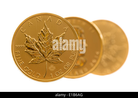 Trio von gold Maple Leaf eine Feinunze Gold Münzen aus kanadischen Treasury in Stempelglanz Zustand Stockfoto