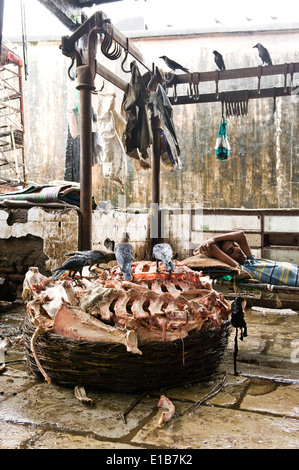 "Hand Made" Hackfleisch. Szenen an das Fleisch Markt eine enorme Metzgerei, Crawford Mkt, Süd-Mumbai Stockfoto