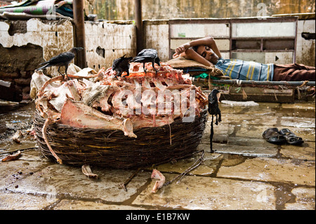 "Hand Made" Hackfleisch. Szenen an das Fleisch Markt eine enorme Metzgerei, Crawford Mkt, Süd-Mumbai Stockfoto