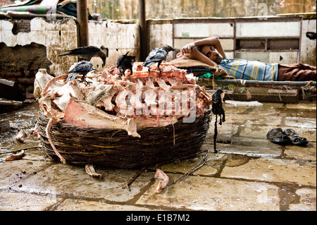 "Hand Made" Hackfleisch. Szenen an das Fleisch Markt eine enorme Metzgerei, Crawford Mkt, Süd-Mumbai Stockfoto