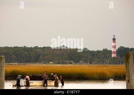 Männer, die in den Sümpfen rund um den Leuchtturm Assateague mit Käfigen von Muscheln und Austern, die schwebte, sind Stockfoto