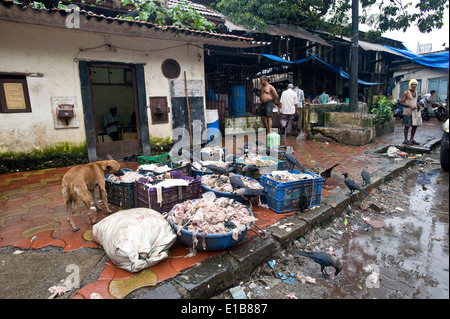 "Hand Made" Hackfleisch. Szenen an das Fleisch Markt eine enorme Metzgerei, Crawford Mkt, Süd-Mumbai Stockfoto