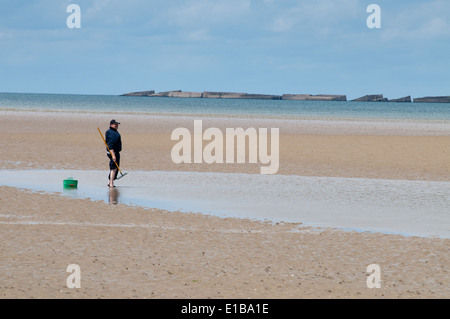 Beachcomber an Asnelles mit Abschnitten von Mulberry Hafen bei Ebbe, Normandie, Frankreich Stockfoto