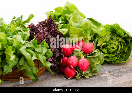 Gesunde frische Salatzutaten angezeigt auf alte verwitterte Holzbretter mit verschiedenen Sorten von grünen grünen Salat und ein Brötchen Stockfoto