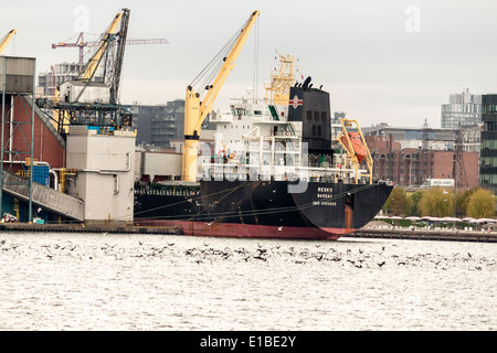 Der Versand-Frachter Resko im dock an den Docks von Toronto beim entladen wird Vögel Bly über das Wasser des Lake Ontario Stockfoto