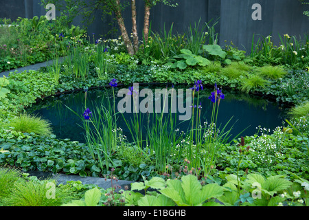 Das Niemandsland: ABF Soldat Charity Garten auf der Chelsea Flower Show, London, UK Stockfoto