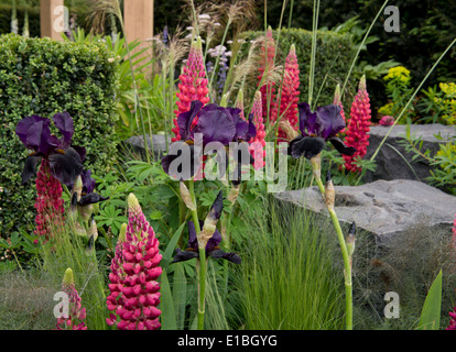 Hilfe für Helden Hoffnung am Horizont Garten bei der Chelsea Flower Show 2014, London, UK Stockfoto