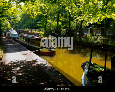 Narrowboats vertäut am Peak Forest Kanal in Whaley Bridge in High Peak Derbyshire England Großbritannien die 1805 fertiggestellt Stockfoto