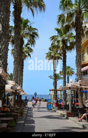 Palm Allee ab Hauptplatz, Buġibba, St. Pauls Bay (San Pawl il-Baħar), Northern District, Republik Malta Stockfoto