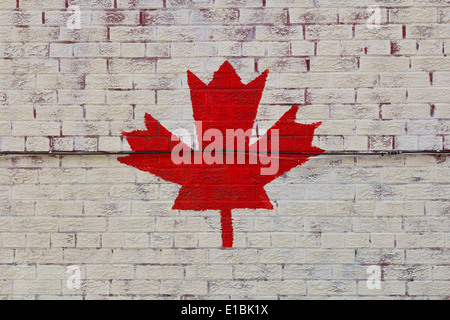 Das Gemälde des Maple Leaf Symbol an der Wand Stockfoto