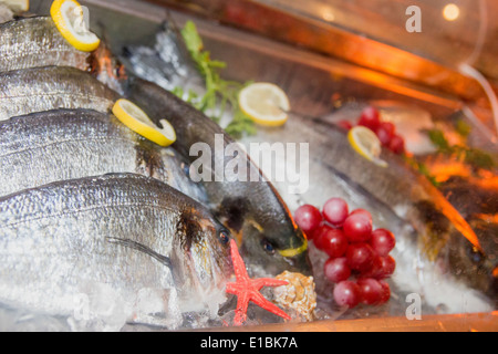 Gebratener Fisch mit Zitrone und Seesterne auf dem Teller in den Kühlschrank stellen Stockfoto