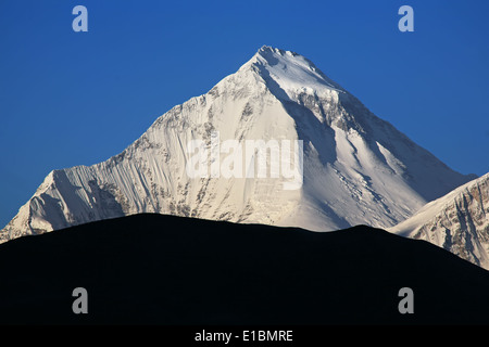 Dhaulagiri (8167 m) Gipfel bei Sonnenaufgang. Nepal, Himalaya. Stockfoto