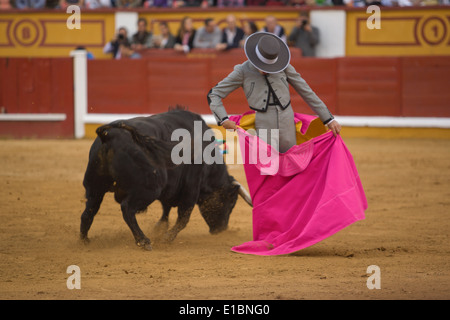 Der Torero kämpft in der Wohlfahrt Stierkampf, Badajoz, Spanien Stockfoto