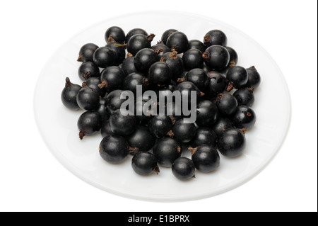 Beeren der schwarzen Johannisbeere auf einem weißen Teller auf einem weißen Hintergrund isoliert Stockfoto