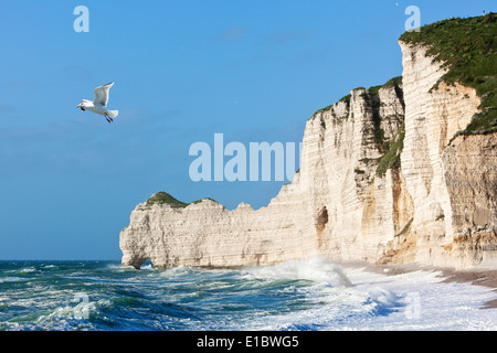 Falaise d'Amont Klippe bei Etretat, Normandie, Frankreich Stockfoto