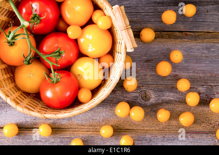 Frische rote und gelbe Tomaten, einige auf der Rebe, in einem rustikalen geflochtenen Weidenkorb auf einem Holztisch mit verstreuten angezeigt Stockfoto