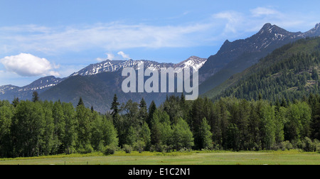 Kabinett-Berge von Bull River Road Stockfoto