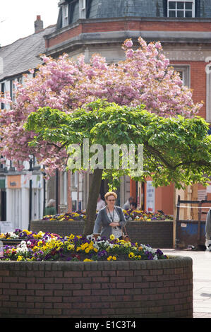 Poulton Stadtzentrum im Frühjahr Stockfoto