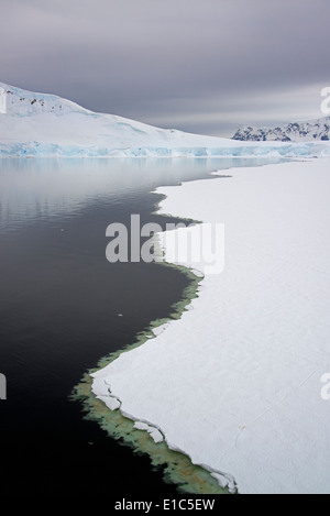 Ansicht von oben, von schmelzendem Eis im Meer vor der Küste der Inseln in der Antarktis. Stockfoto