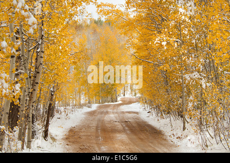 Eine Straße in der Uinta Mountains, mit leichten Schnee auf dem Boden. Stockfoto