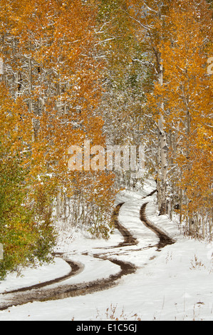 Eine Straße in der Uinta Mountains, mit leichten Schnee auf dem Boden. Stockfoto