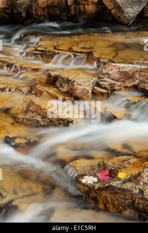 Wasser fließt über die Felsen am Fluss Provo in den Uinta Mountains. Stockfoto