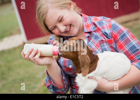 Ein Mädchen, ein Zicklein Flasche füttern. Stockfoto