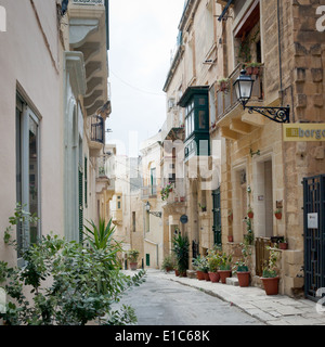 Pflanzen und Blumen in Terrakotta Töpfe säumen die ruhigen und angenehmen Straßen von Vittoriosa (Birgu), Malta. Stockfoto