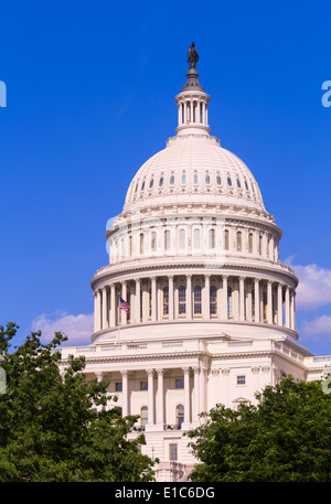 Kuppel des Kapitol-Gebäudes im Kongress in Washington DC, USA Stockfoto