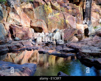 Wasserbecken mit Flechten bedeckt Felsen am Glen Alpine Creek. In der Nähe von gefallenen Blatt Lake, Kalifornien Stockfoto