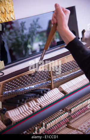 Tuner bei der Arbeit mit Ratsche am Klavier Stockfoto